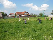 Čarodějnický karneval